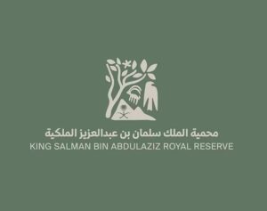 king salman